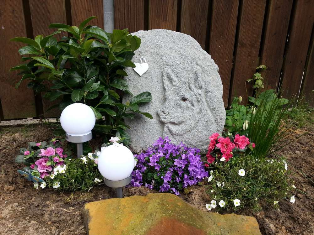dog burial